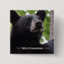 Search for docs badges Wildlife