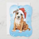 Search for staffordshire bull terrier christmas cards Staffie