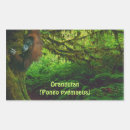 Search for conservation rectangle stickers Orangutans