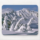Search for crater mouse mats National park