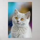 Search for british shorthair cat art Kitty
