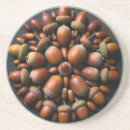 Search for acorn coasters Nature