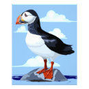 Search for wild animal posters Cute