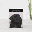 Search for mastiffs cards Pets