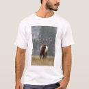 Search for rolf tshirts Animal