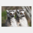 Search for lemurs gift wrap Primates