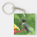 Search for ruby throated key rings Hummingbird
