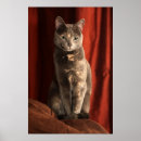 Search for fostering posters Cat