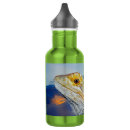 Search for lizard water bottles Animal