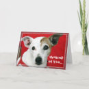 Search for jack russell terrier cards Animals