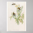 Search for cactus flower posters Vintage