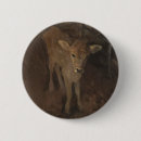 Search for nineteenth round badges 19th century