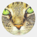 Search for green eyed stickers Cat