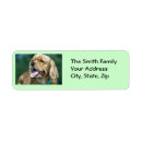 Search for adopt a pet return address labels Pets