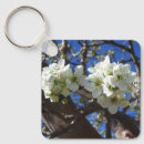 Search for pear key rings Nature