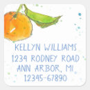 Search for hand drawn fruit stickers Food