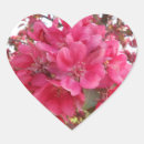 Search for spring time stickers Pink