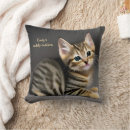 Search for tabby cat cushions Cute