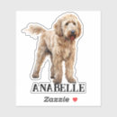 Search for labradoodles stickers Goldendoodle