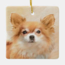 Search for long haired chihuahua christmas tree decorations Dog