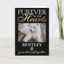 Search for pet sympathy cards Bereavement