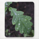 Search for leaf mouse mats Black