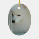 Search for poms christmas tree decorations Pets