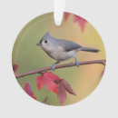 Search for tufts christmas tree decorations Titmouse