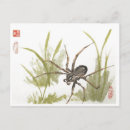 Search for arachnids horizontal postcards Nature