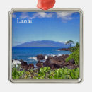 Search for maui christmas tree decorations Lanai