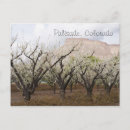 Search for palisades Vacation