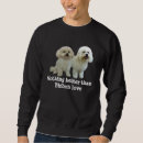 Search for bichon christmas clothing Pets
