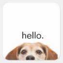Search for beagle stickers funny