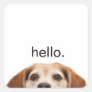 Search for cute beagle stickers Pets