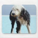 Search for wet mouse mats Water