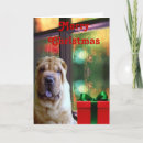 Search for shar pei christmas cards Chinese