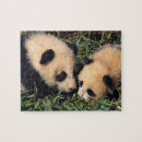 Search for panda puzzles Baby