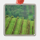 Search for agriculture christmas tree decorations Fence