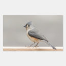 Search for titmouse stickers Winter