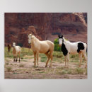 Search for buckskin horse posters Animal
