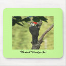 Search for woodpecker mouse mats Wildlife