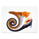 Search for funny goldfish posters Orange