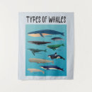Search for narwhal art Blue whale