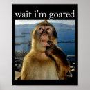 Search for thinking monkey posters Brainrot