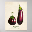 Search for aubergine art Eggplant