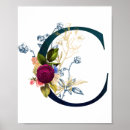 Search for letter c posters Flowers