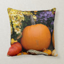Search for danita delimont cushions Colourful
