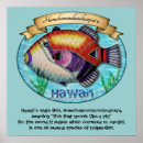 Search for triggerfish posters Hawaii
