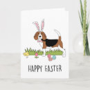 Search for funny dog easter cards Eggs