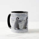 Search for wild animal mugs Snow